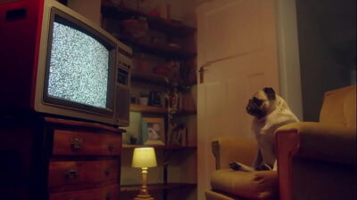 BENEFIT MONKEY: Europe’s Candee Licious and Lili Charmelle indulge in an out-of-control threesome with toys and hot oral sex – Exclusive Preview